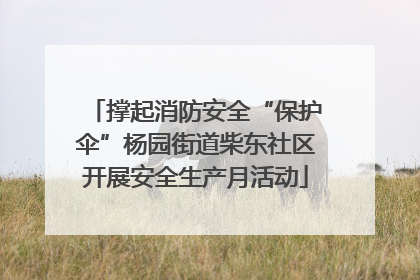 撑起消防安全“保护伞”杨园街道柴东社区开展安全生产月活动
