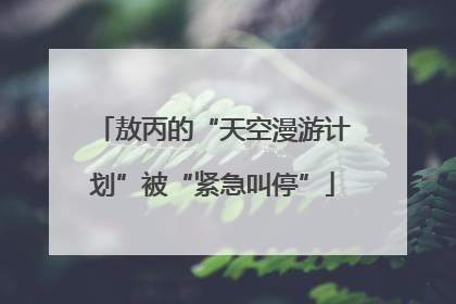 敖丙的“天空漫游计划”被“紧急叫停”