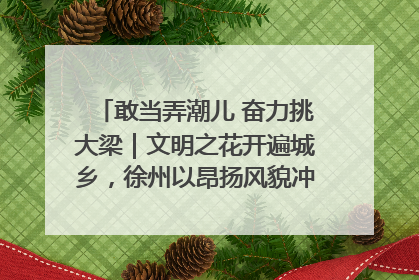 敢当弄潮儿 奋力挑大梁｜文明之花开遍城乡，徐州以昂扬风貌冲刺“万亿之城”