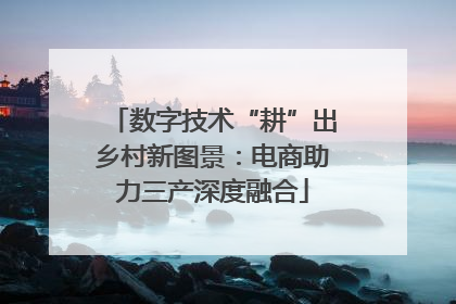 数字技术“耕”出乡村新图景：电商助力三产深度融合