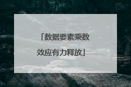 数据要素乘数效应有力释放