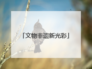文物非遗新光彩