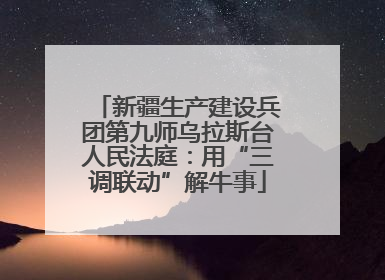 新疆生产建设兵团第九师乌拉斯台人民法庭：用“三调联动”解牛事