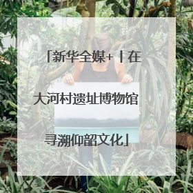 新华全媒+丨在大河村遗址博物馆寻溯仰韶文化
