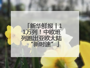新华鲜报丨11万列！中欧班列跑出亚欧大陆“新时速”