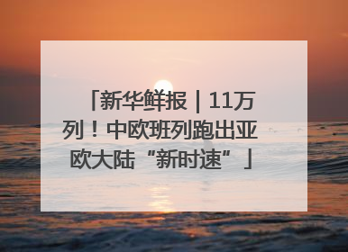 新华鲜报｜11万列！中欧班列跑出亚欧大陆“新时速”