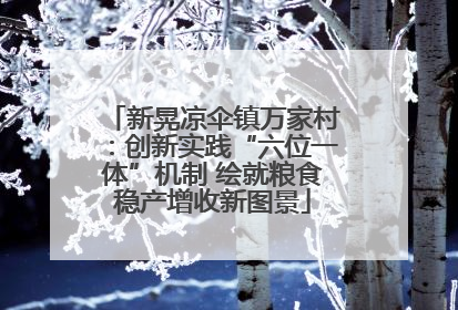 新晃凉伞镇万家村：创新实践“六位一体”机制 绘就粮食稳产增收新图景