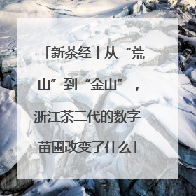 新茶经丨从“荒山”到“金山”，浙江茶二代的数字苗圃改变了什么