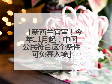 新西兰官宣！今年11月起，中国公民符合这个条件可免签入境