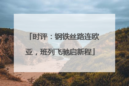时评：钢铁丝路连欧亚，班列飞驰启新程