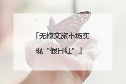 无棣文旅市场实现“假日红”