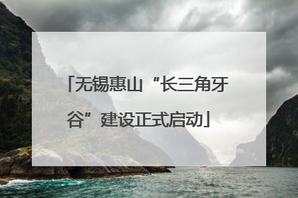 无锡惠山“长三角牙谷”建设正式启动