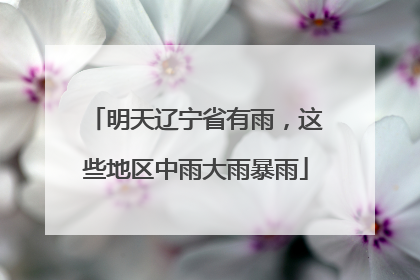 明天辽宁省有雨，这些地区中雨大雨暴雨