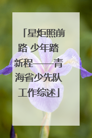 星炬照前路 少年踏新程——青海省少先队工作综述