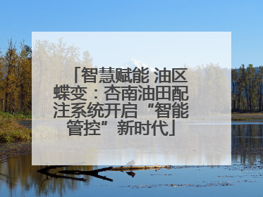 智慧赋能 油区蝶变：杏南油田配注系统开启“智能管控”新时代
