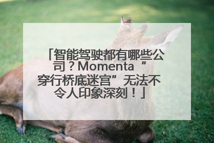 智能驾驶都有哪些公司？Momenta“穿行桥底迷宫”无法不令人印象深刻！
