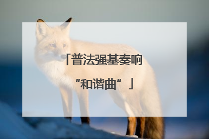 普法强基奏响“和谐曲”