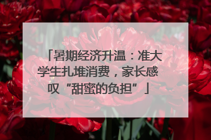 暑期经济升温：准大学生扎堆消费，家长感叹“甜蜜的负担”