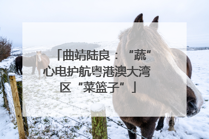 曲靖陆良：“蔬”心电护航粤港澳大湾区“菜篮子”