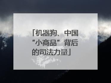 机器狗、中国“小商品”背后的司法力量