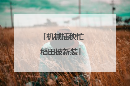 机械插秧忙 稻田披新装