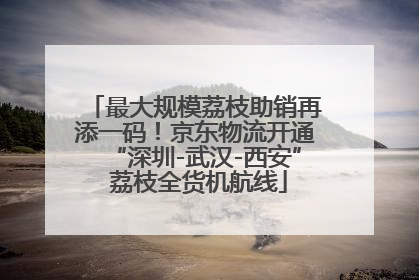 最大规模荔枝助销再添一码！京东物流开通“深圳-武汉-西安” 荔枝全货机航线