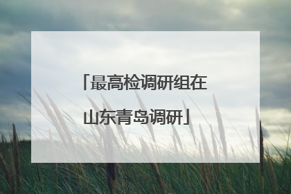 最高检调研组在山东青岛调研