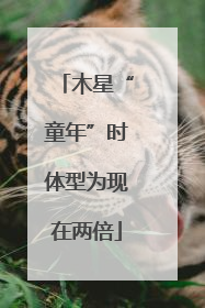 木星“童年”时体型为现在两倍