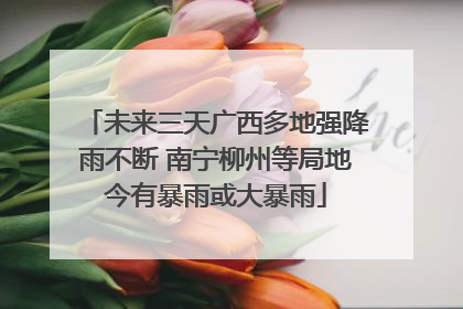 未来三天广西多地强降雨不断 南宁柳州等局地今有暴雨或大暴雨
