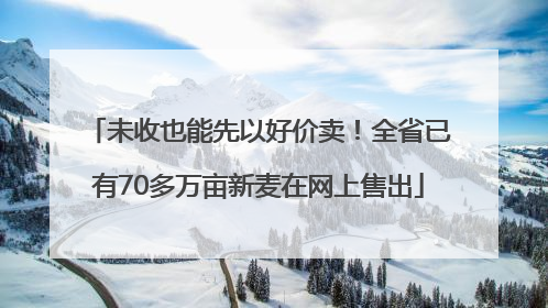 未收也能先以好价卖！全省已有70多万亩新麦在网上售出