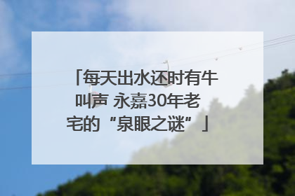 每天出水还时有牛叫声 永嘉30年老宅的“泉眼之谜”