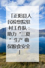 正阳县人民检察院驻村工作队：助力“三夏”生产 确保粮食安全