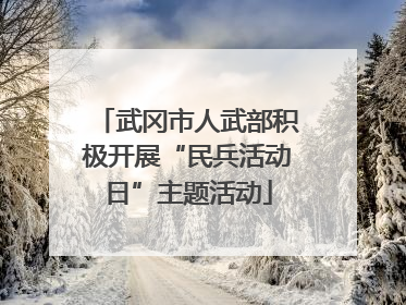 武冈市人武部积极开展“民兵活动日”主题活动