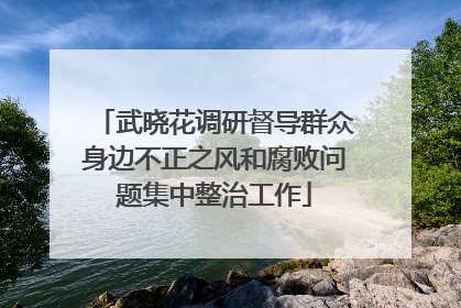 武晓花调研督导群众身边不正之风和腐败问题集中整治工作
