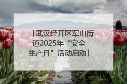 武汉经开区军山街道2025年“安全生产月”活动启动