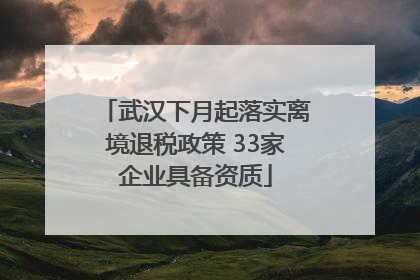 武汉下月起落实离境退税政策 33家企业具备资质