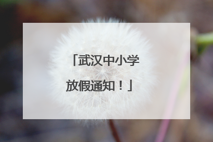 武汉中小学放假通知！