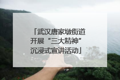武汉唐家墩街道开展“三大精神”沉浸式宣讲活动