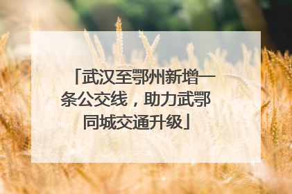 武汉至鄂州新增一条公交线，助力武鄂同城交通升级
