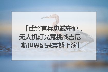 武警官兵忠诚守护，无人机灯光秀挑战吉尼斯世界纪录震撼上演