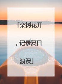 栾树花开，记录夏日浪漫