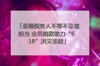 桑植税务人不等不靠显担当 全员捐款助力“6·18”洪灾重建