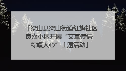 梁山县梁山街道红旗社区良嘉小区开展“艾草传情·粽暖人心”主题活动