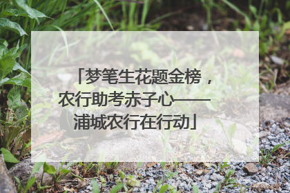 梦笔生花题金榜，农行助考赤子心——浦城农行在行动