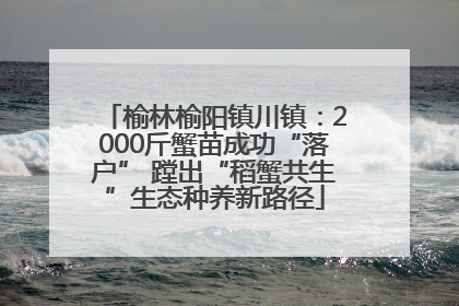 榆林榆阳镇川镇：2000斤蟹苗成功“落户” 蹚出“稻蟹共生”生态种养新路径