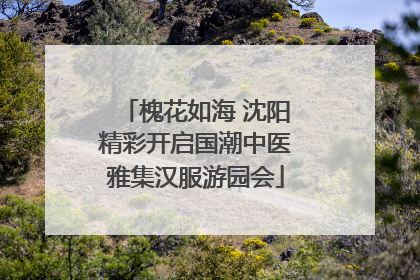 槐花如海 沈阳精彩开启国潮中医雅集汉服游园会