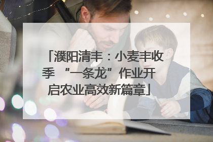 濮阳清丰：小麦丰收季 “一条龙”作业开启农业高效新篇章