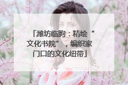 潍坊临朐：精绘“文化书院”，编织家门口的文化纽带