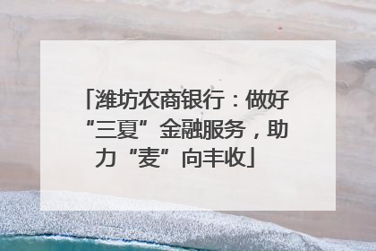 潍坊农商银行：做好“三夏”金融服务，助力“麦”向丰收