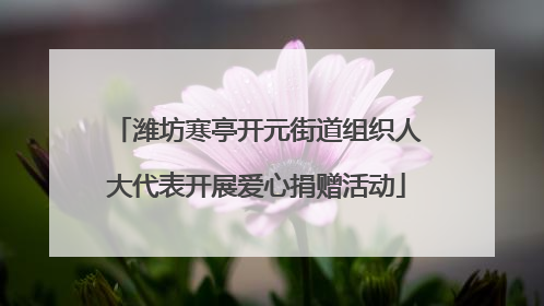 潍坊寒亭开元街道组织人大代表开展爱心捐赠活动